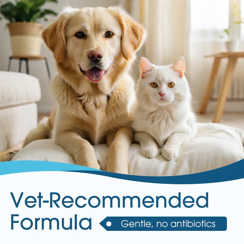 🐶🐱 Öronrengöring, lindrar klåda hos hundar och katter